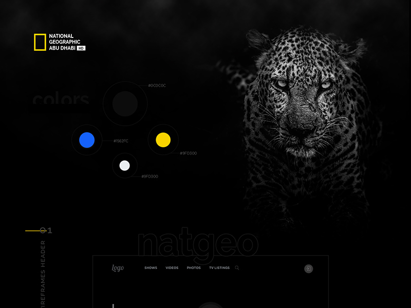 National Geographic Website Template Redesign 