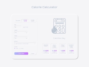 Calorie Calculator Design