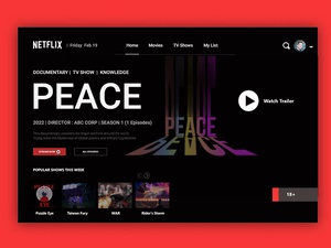 Netflix Landing Page -Neugestaltung