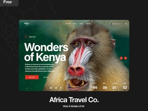 Набор для туристических веб -сайтов в Африке