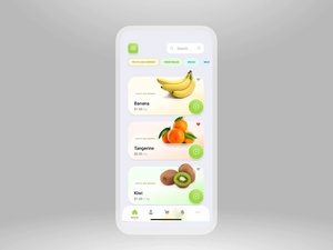 Groceries App Concept