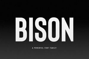 Bison -Schriftfamilie