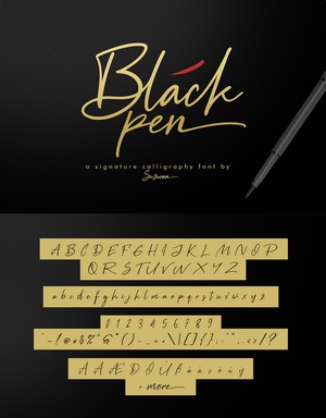 Font à stylo noir