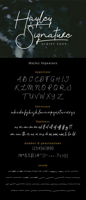 Hayley Signature Font – Free Typeface