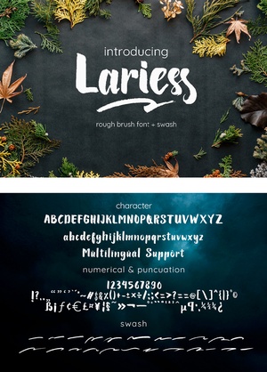 Font Larries