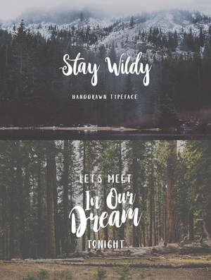 Stay Wildy Font – Calligraphy Typeface