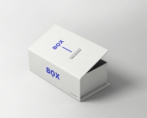 Vue en perspective du rectangle Open Box Packaging Mockup