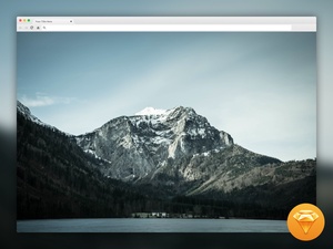 Chrome Window Template for Dribbble