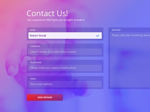 Contact Page Form
