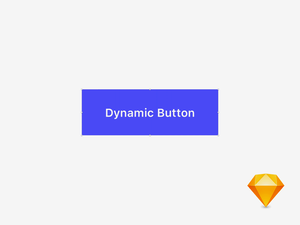 Sketch Dynamic Button