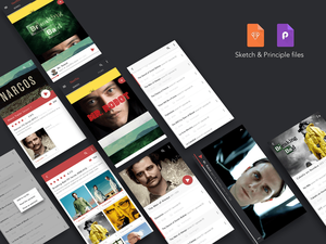 Redesign Netflix Serie Android App