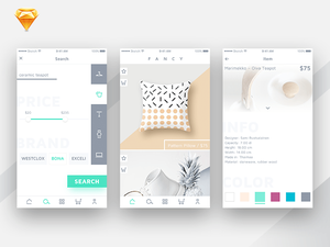 Shopping App Concept
