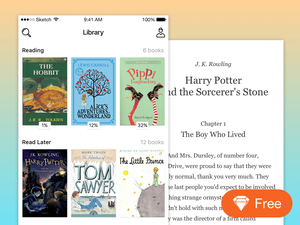 iOS Книга Читатель App