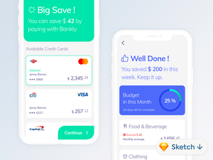 Budget Management App Concept – Bankly