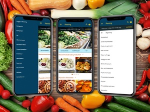 Online Lebensmittel Einkaufen Mobile Vorlage