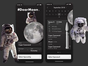 Концепт-приложение DearMoon (SpaceX)