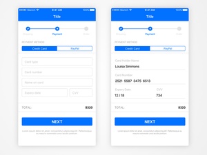iOS Basic Payment View Sketch Resource