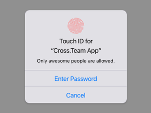 IOS Touch ID Alerta Símbolo Recurso