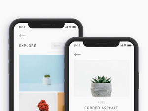 Succulent Plant E-Commerce App