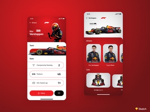 F1 Treiberprofil Bildschirm - Sketch Freebie