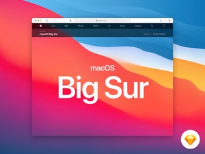 Safari 14 Макет от macOS Big Sur