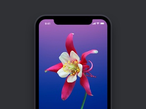 Einfaches iPhone X Mockup