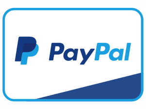 Paypal Card Logo Sketch Resource