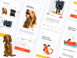 Dog Donation App Concept Sketch Resource