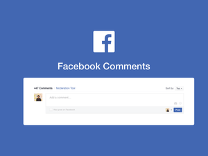 Facebook Commentaires Template Sketch Resource