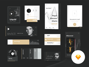 Kit de interfaz de usuario de la plataforma de música