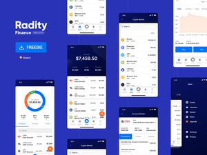 Комплект финансового пользовательского интерфейса - Radity