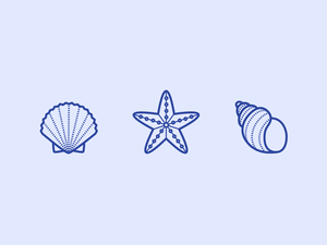 3 Recursos de boceto de iconos de conchas marinas