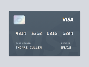 Visa Card Sketch Resource