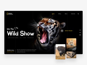 National Geographic Wildlife Website Template