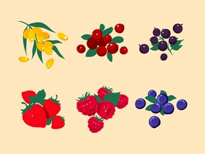 Berries Illustrations Set