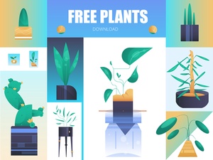 House Plants Illustrations