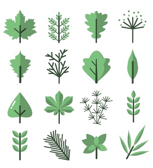 Modèle de feuilles et 16 icônes