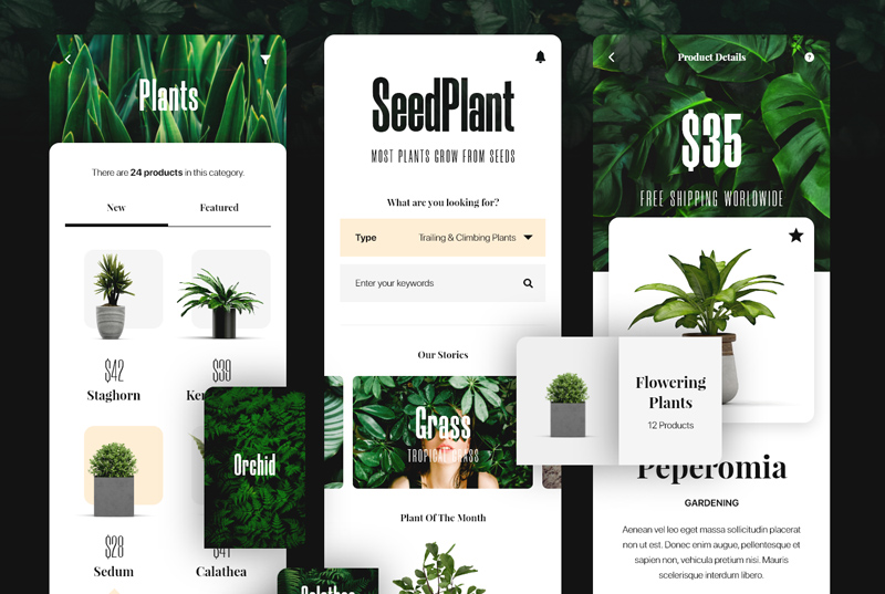 Pflanzen E-Commerce App UI