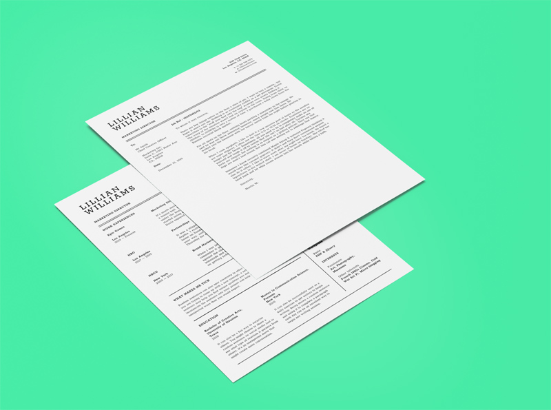 CV Template for Fingma