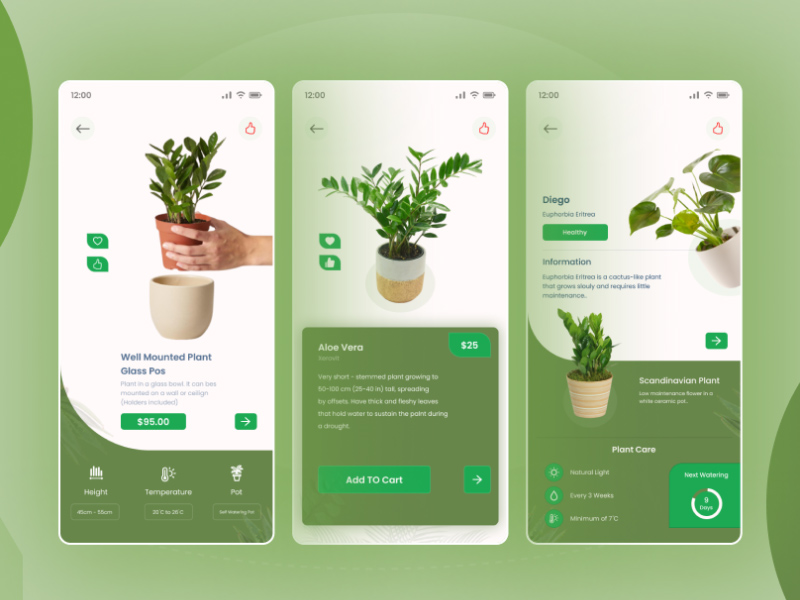 Plant Care App Design