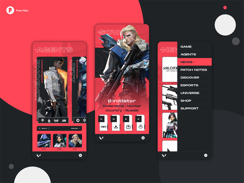 Valorant App Concept Design