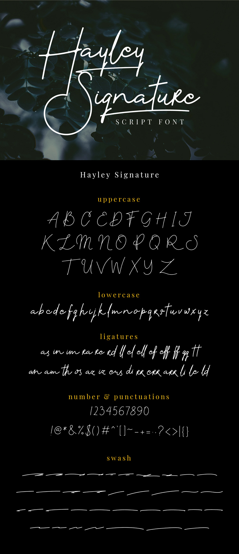 Шрифт Hayley Signature - бесплатный шрифт