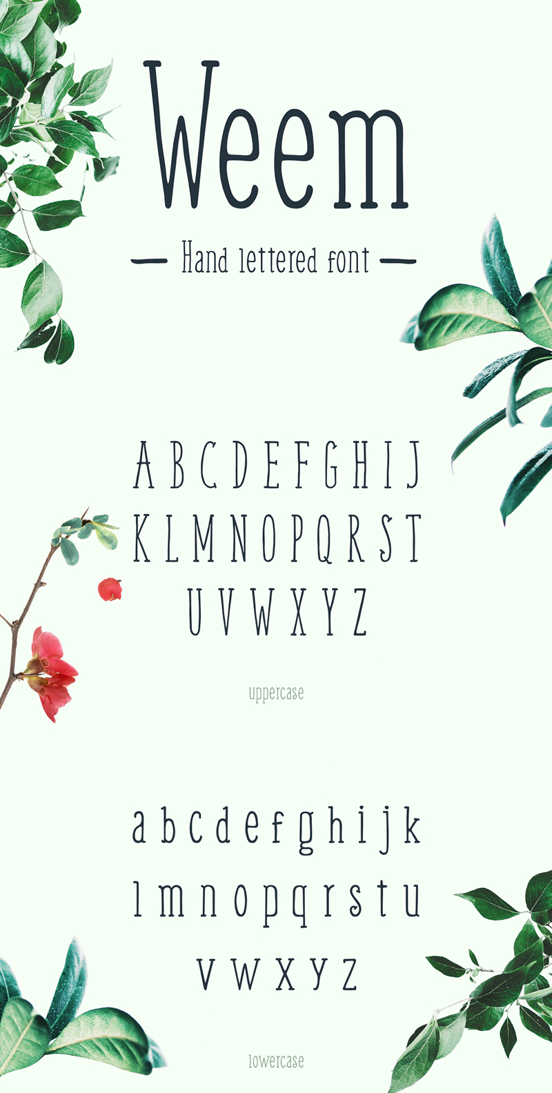 Weem Font - бесплатная типография с ручной буквой