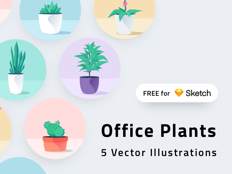 Ilustraciones de plantas de oficina para boceto