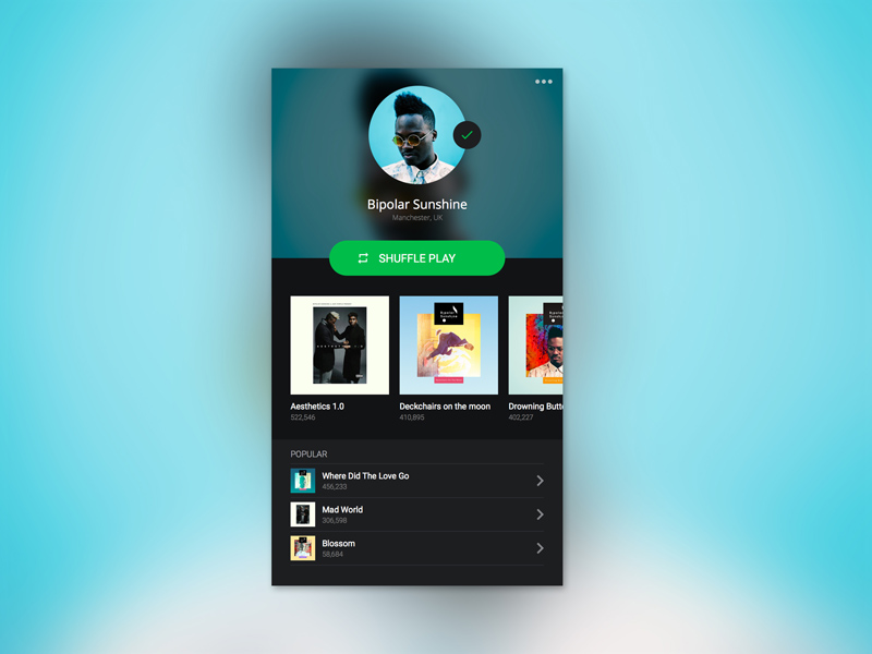 Spotify-Profil