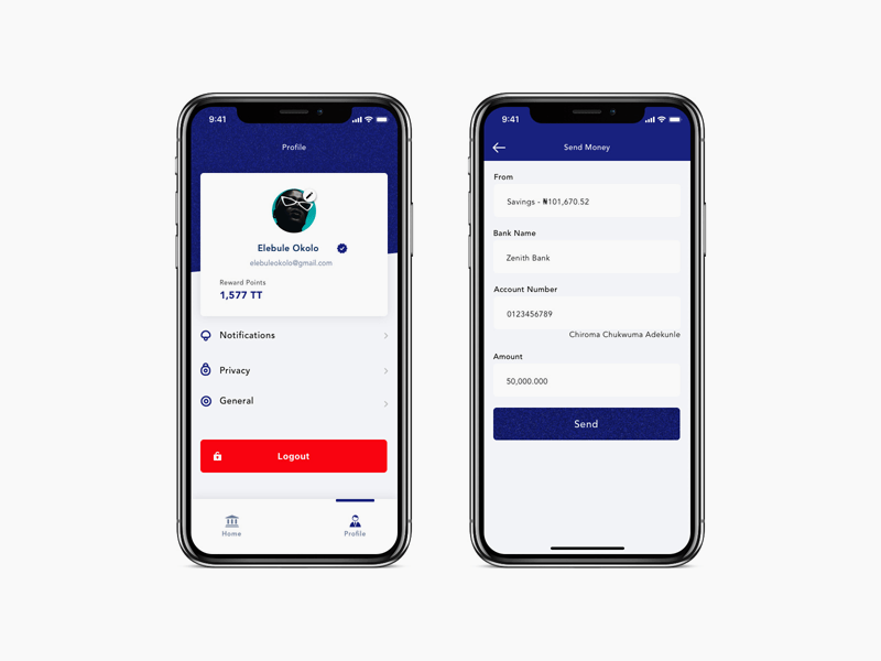 Online Bank App Concept