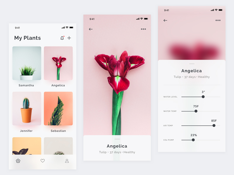 Plants App Konzept