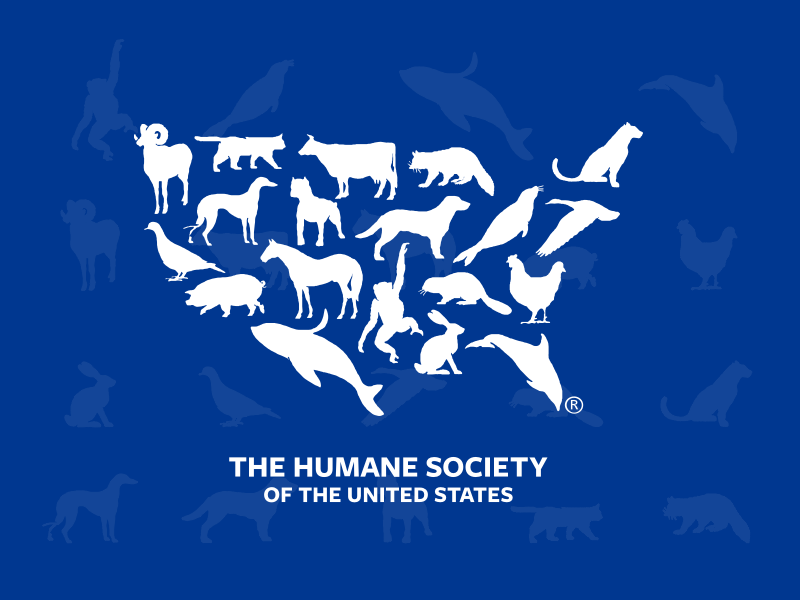 Humane Society Logo Sketch Resource