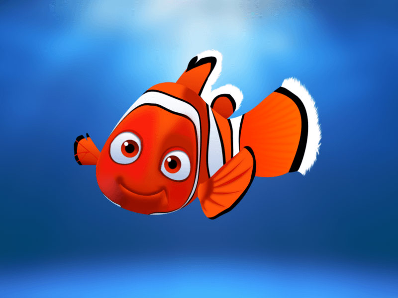 Nemo dans sketch illustration sketch ressource
