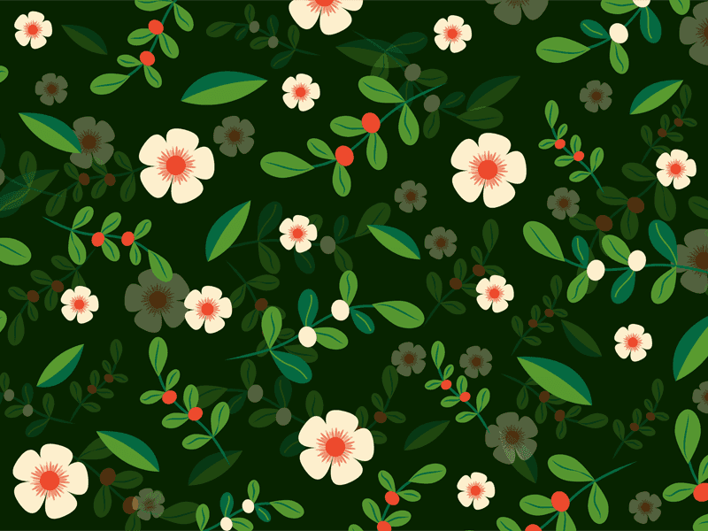 Illustration vectorielle de motif floral